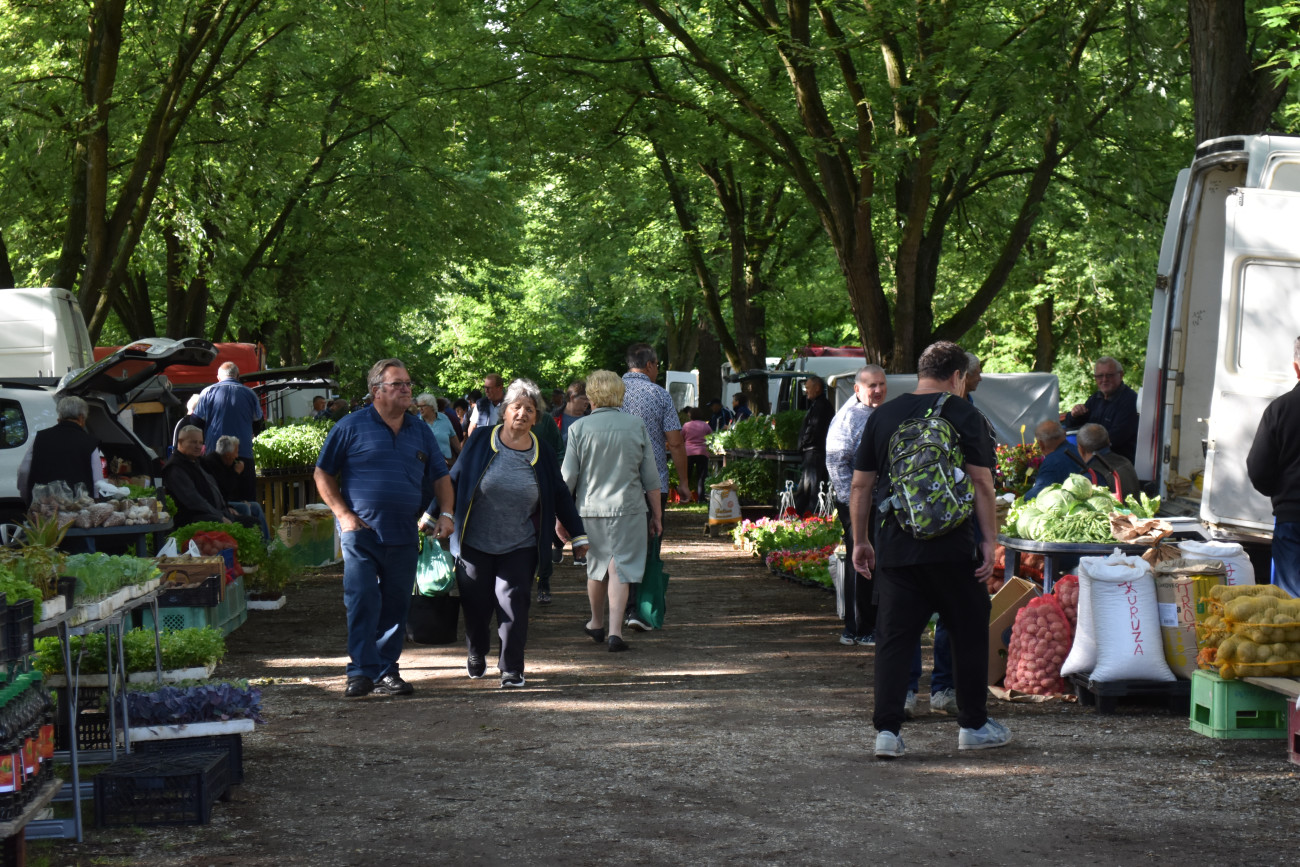 sajam srijedom 22 svibnja (35) sajam srijedom 22 svibnja (35)