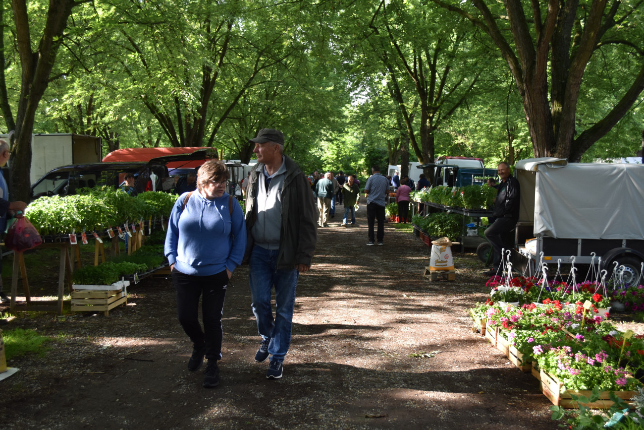 sajam srijedom 22 svibnja (38) sajam srijedom 22 svibnja (38)