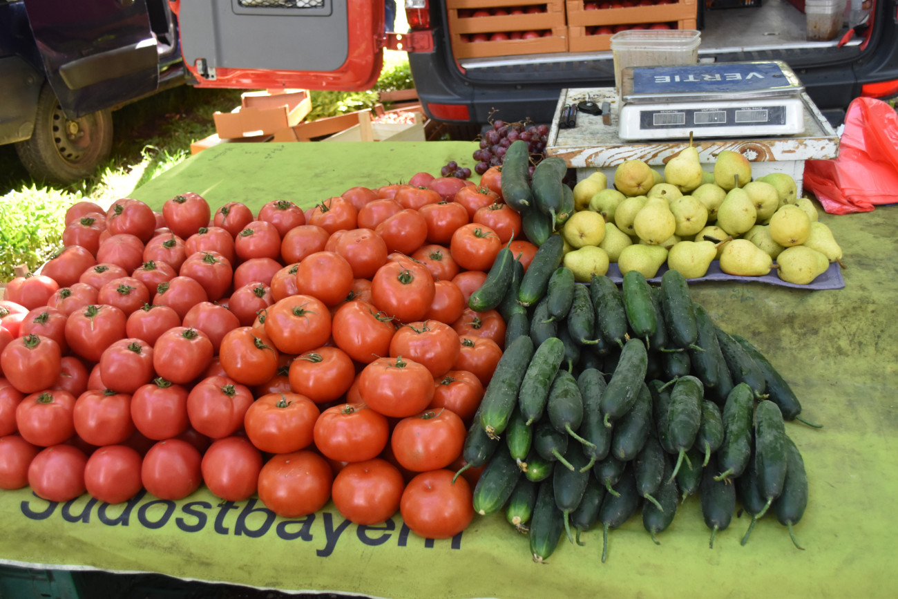 sajam srijedom 22 svibnja (39) sajam srijedom 22 svibnja (39)