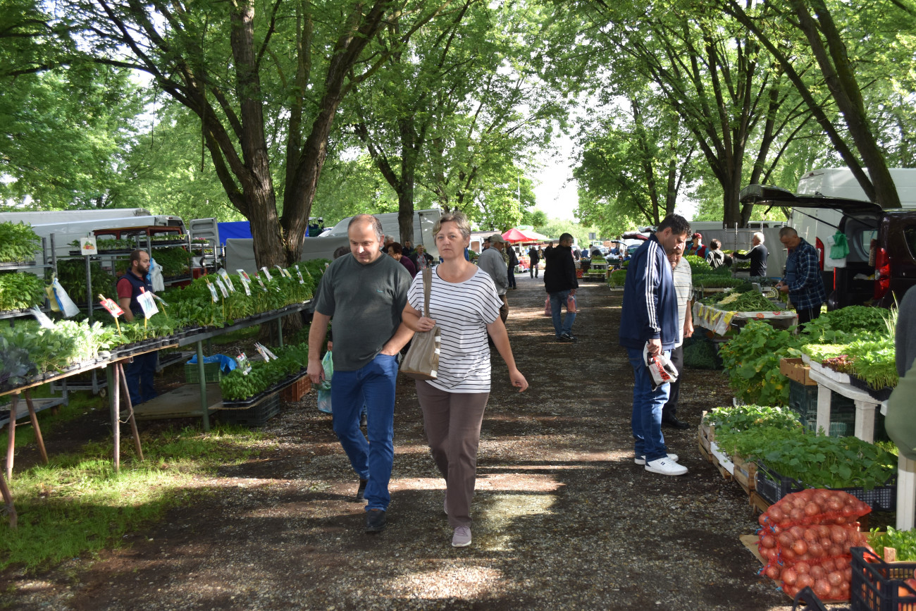 sajam srijedom 22 svibnja (44) sajam srijedom 22 svibnja (44)