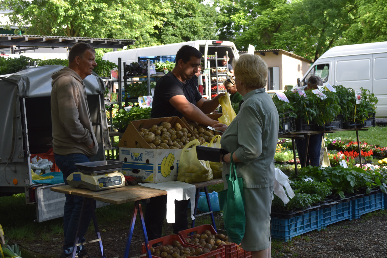 sajam srijedom 22 svibnja (48) sajam srijedom 22 svibnja (48)