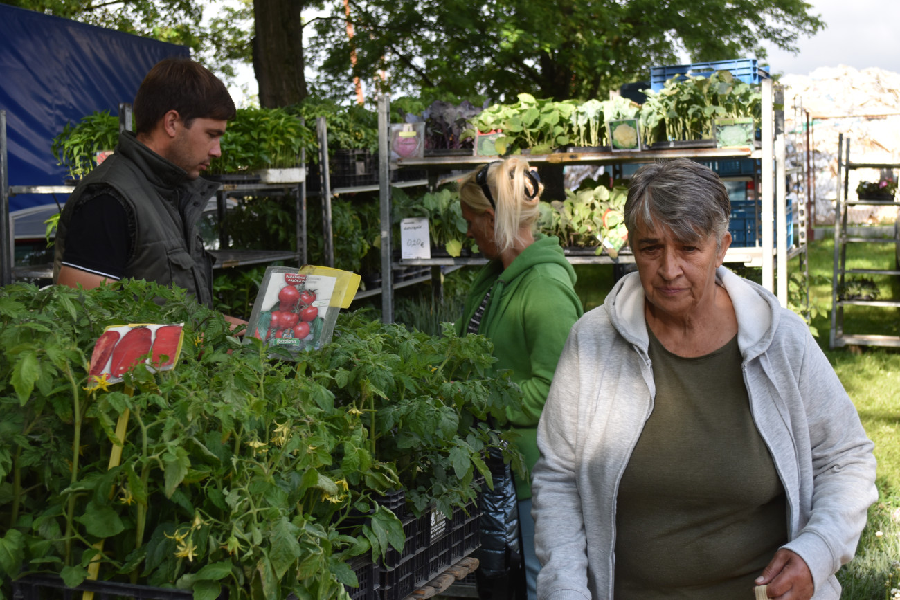 sajam srijedom 22 svibnja (49) sajam srijedom 22 svibnja (49)