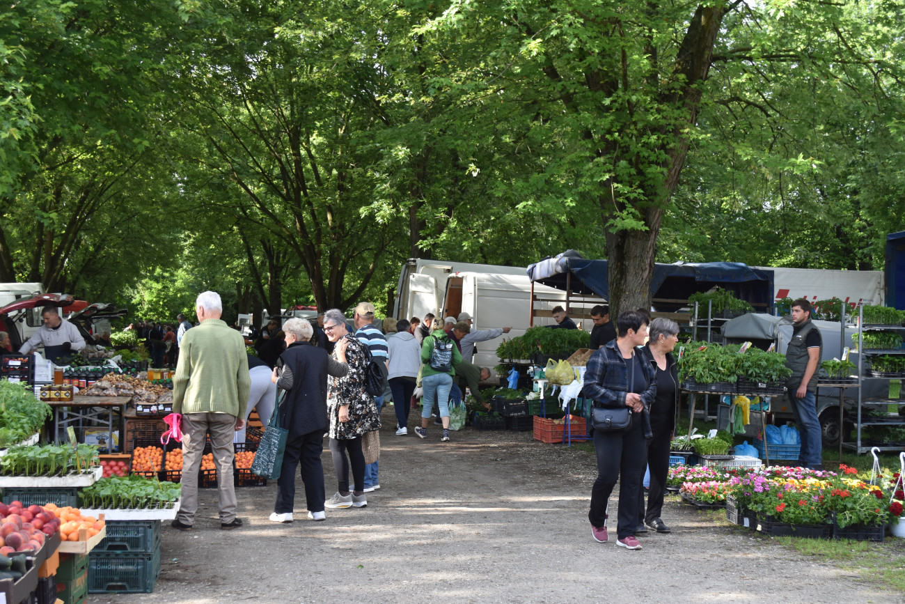 sajam srijedom 22 svibnja (51) sajam srijedom 22 svibnja (51)