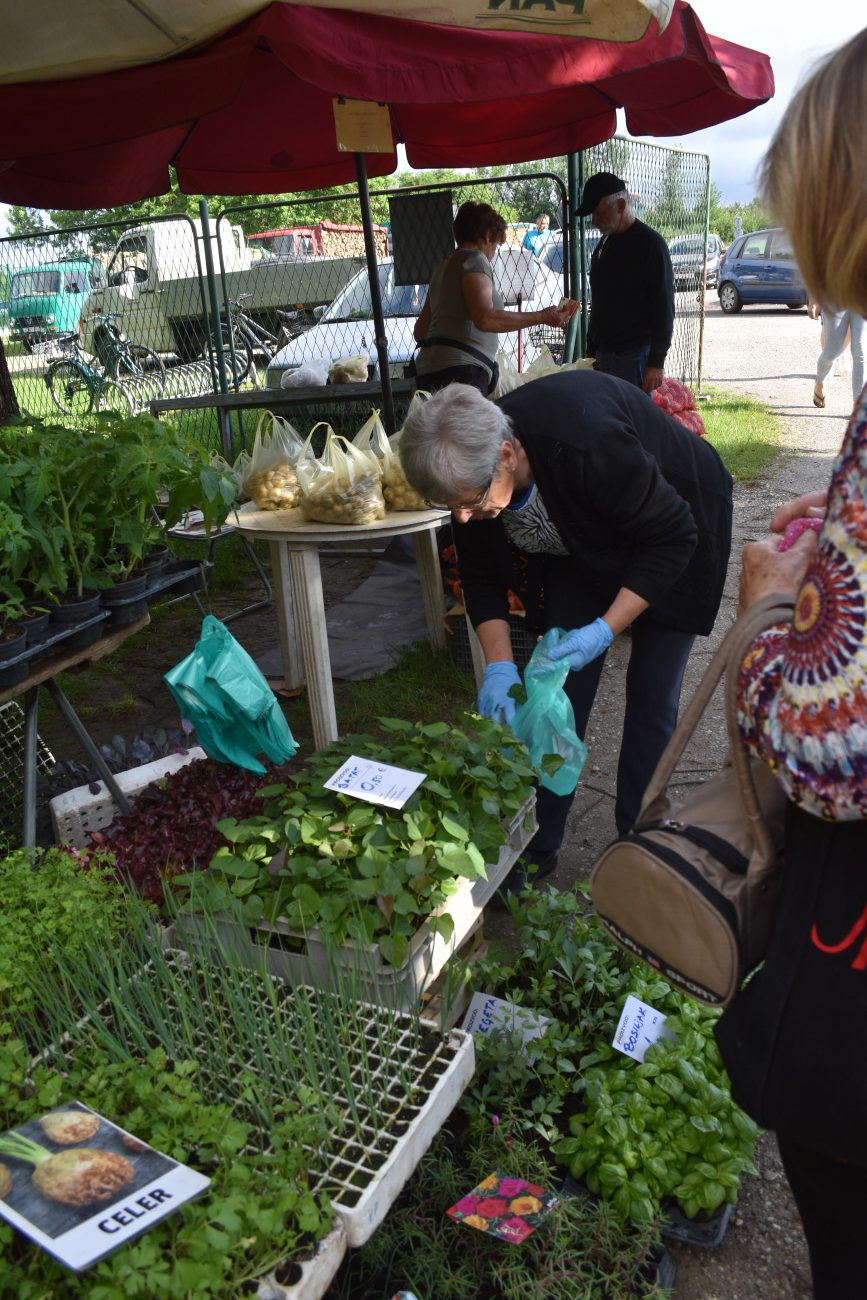 sajam srijedom 22 svibnja (52) sajam srijedom 22 svibnja (52)