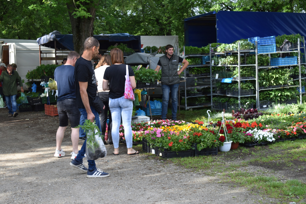 sajam srijedom 22 svibnja (54) sajam srijedom 22 svibnja (54)