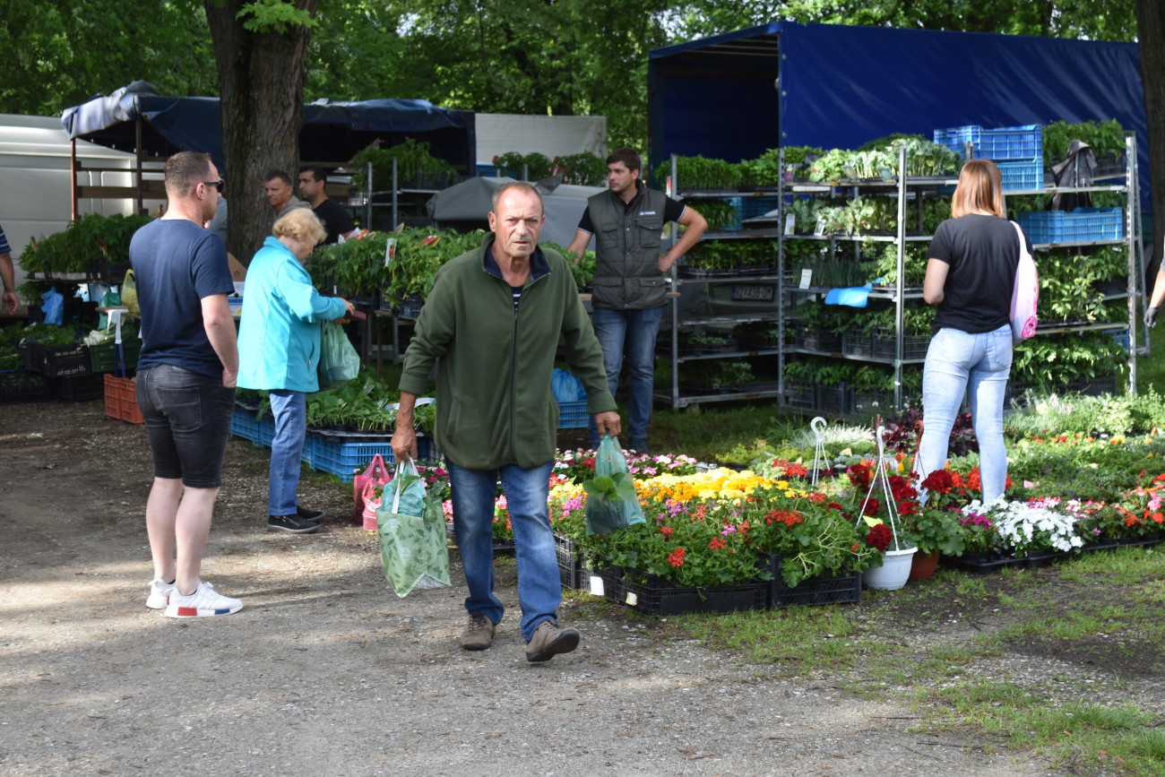 sajam srijedom 22 svibnja (55) sajam srijedom 22 svibnja (55)