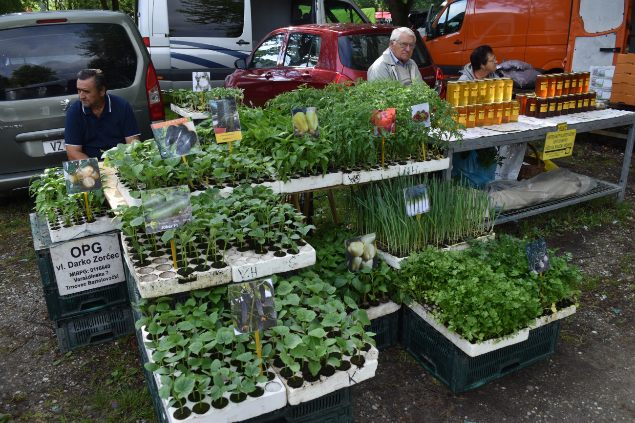 sajam srijedom 22 svibnja (56) sajam srijedom 22 svibnja (56)