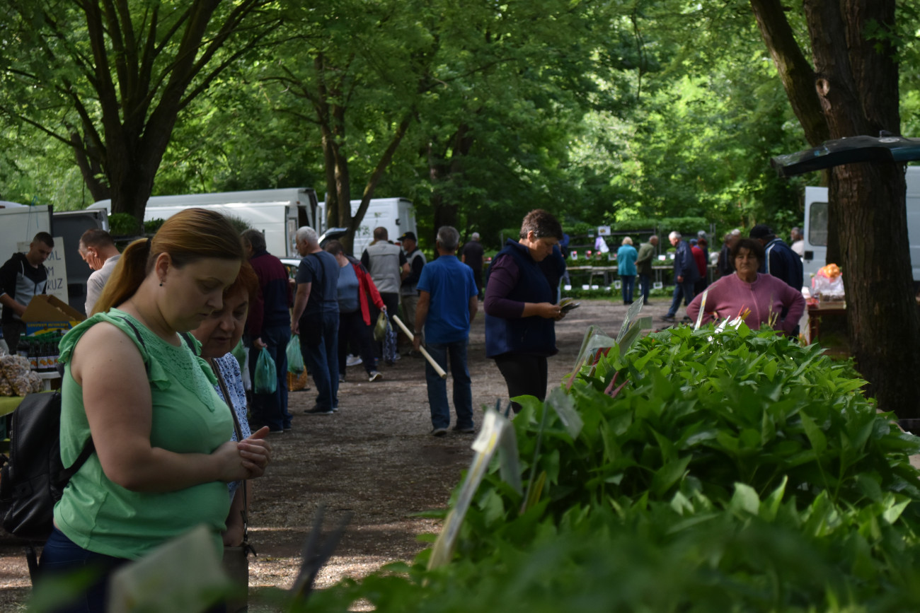 sajam srijedom 22 svibnja (9) sajam srijedom 22 svibnja (9)