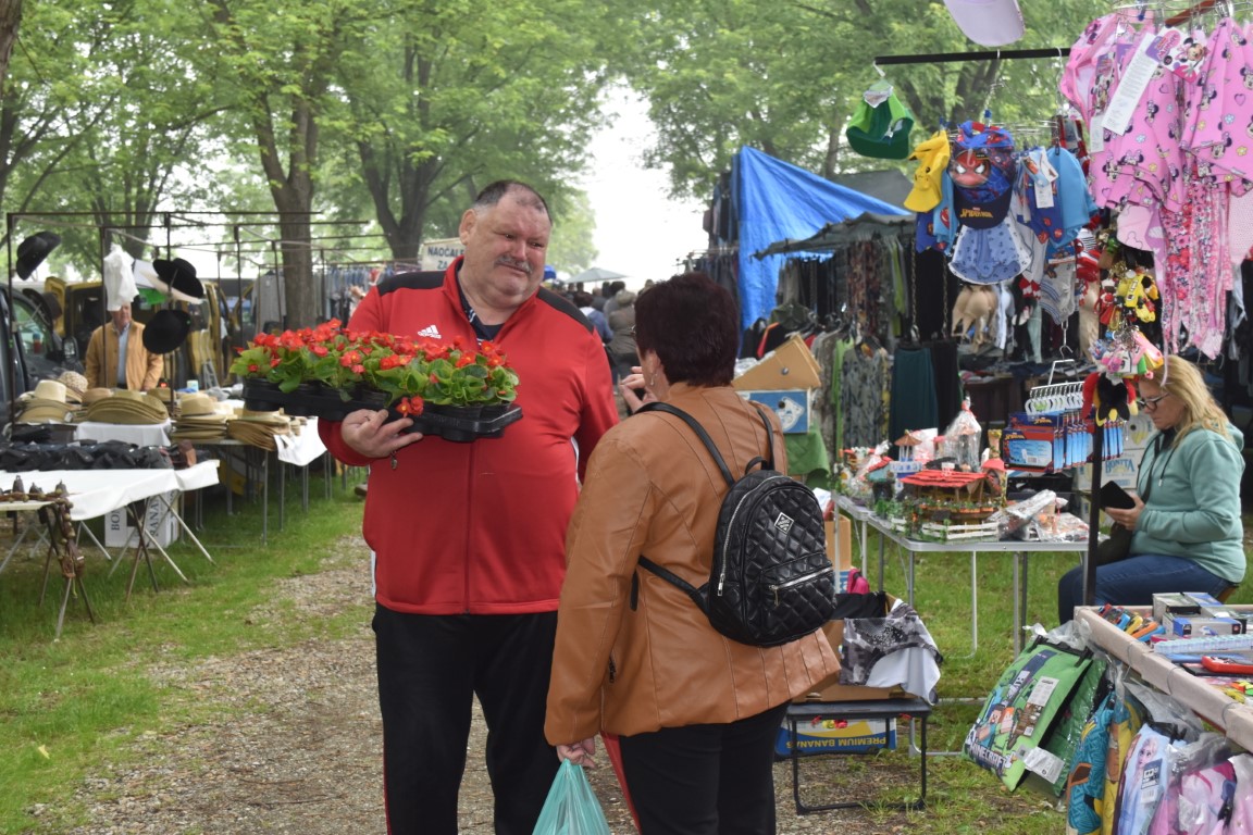 sajam srijedom (22) sajam srijedom (22)