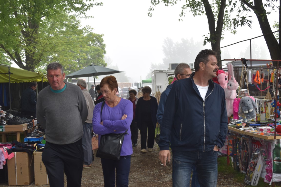 sajam srijedom (23) sajam srijedom (23)