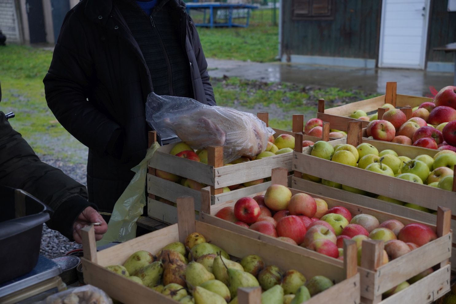 sajam srijedom 24.12.2025 (11)