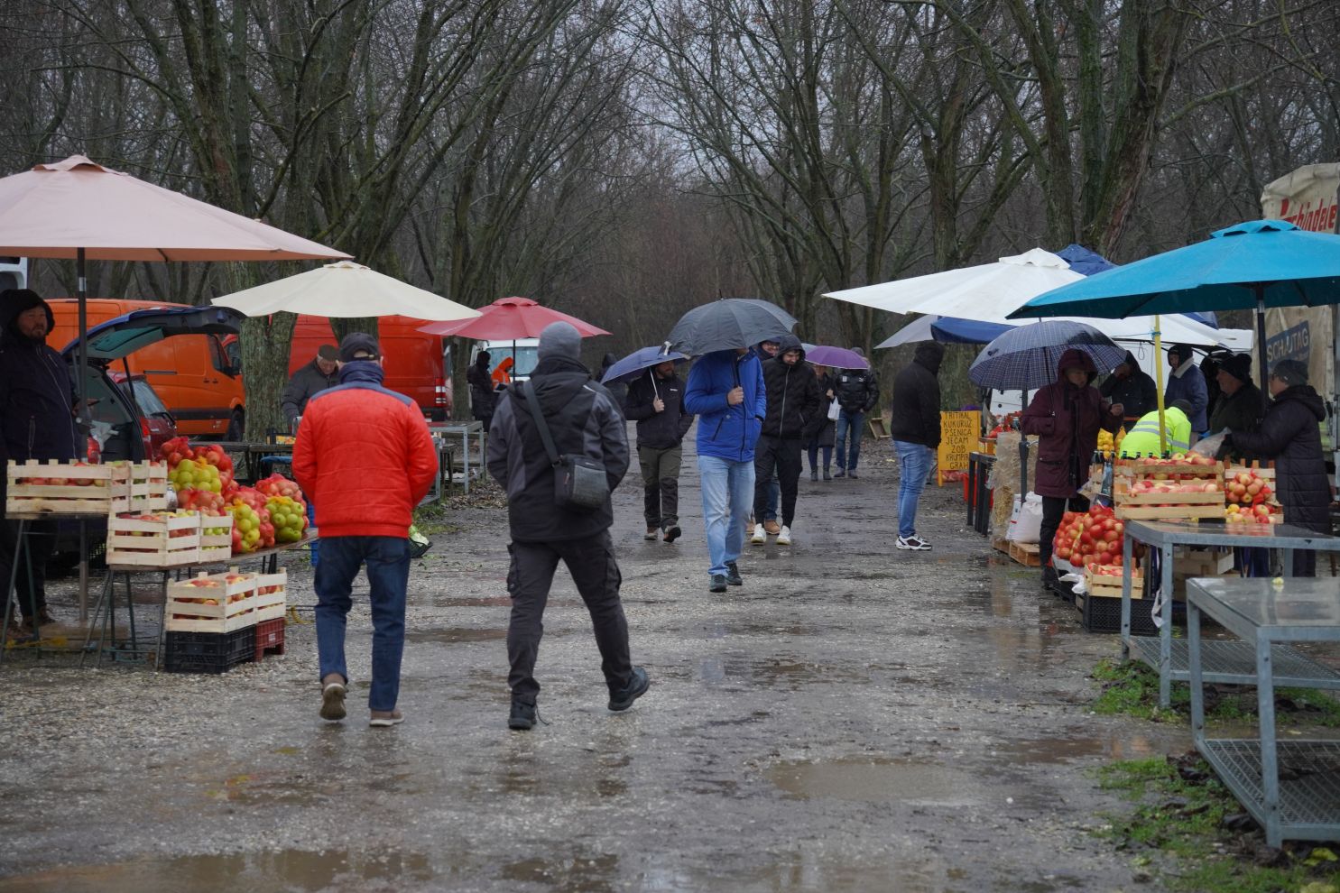 sajam srijedom 24.12.2025 (3)