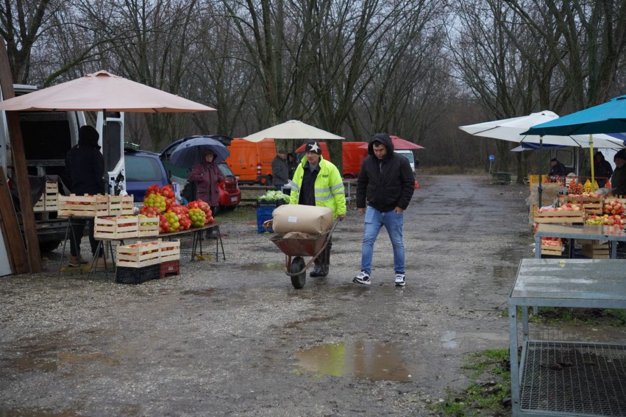 sajam srijedom 24.12.2025 (6)