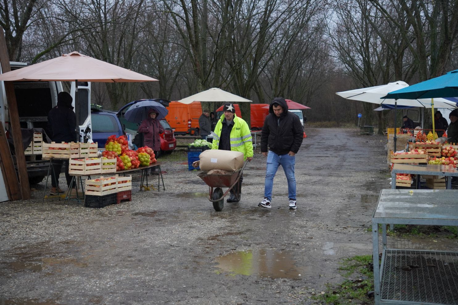 sajam srijedom 24.12.2025 (6)