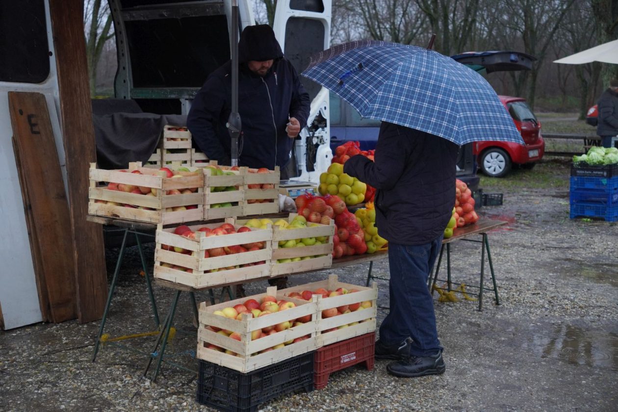 sajam srijedom 24.12.2025 (9)