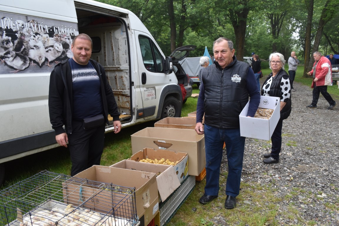 sajam srijedom (27) sajam srijedom (27)