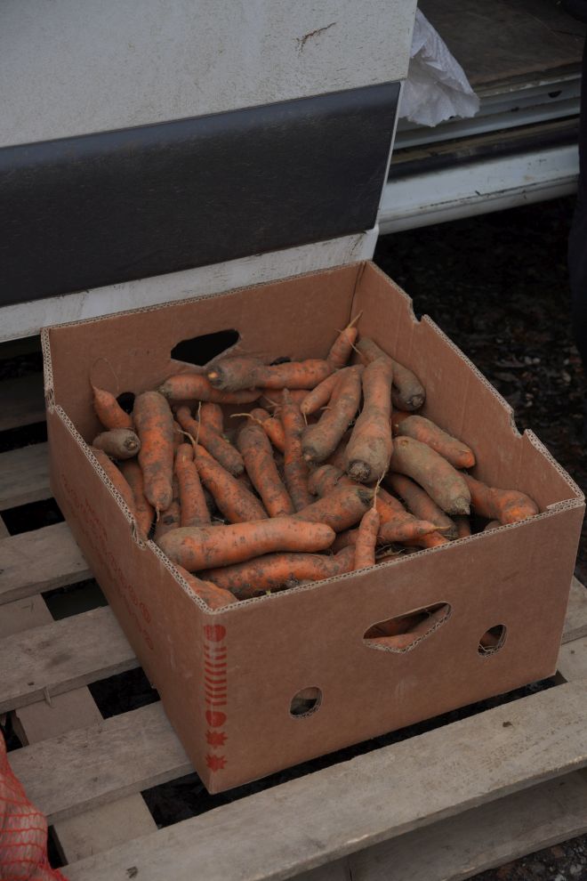 sajam srijedom 28.1.2026 (12)