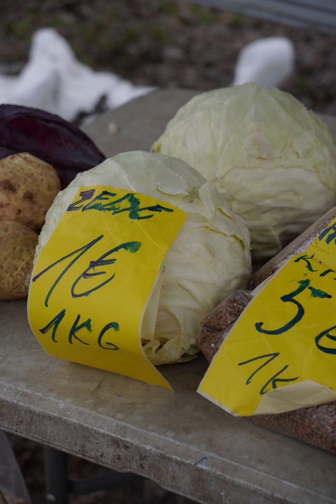 sajam srijedom 28.1.2026 (23)