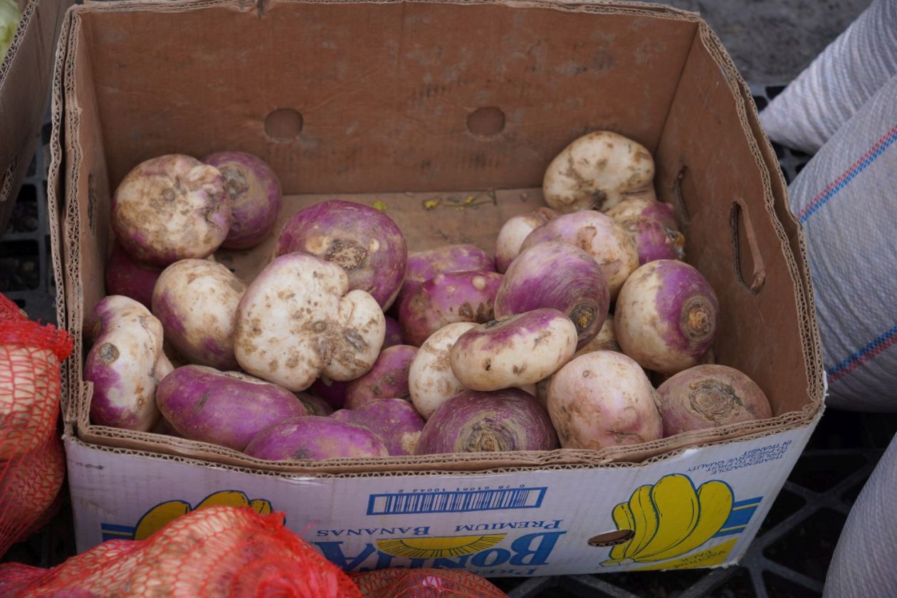 sajam srijedom 28.1.2026 (55)