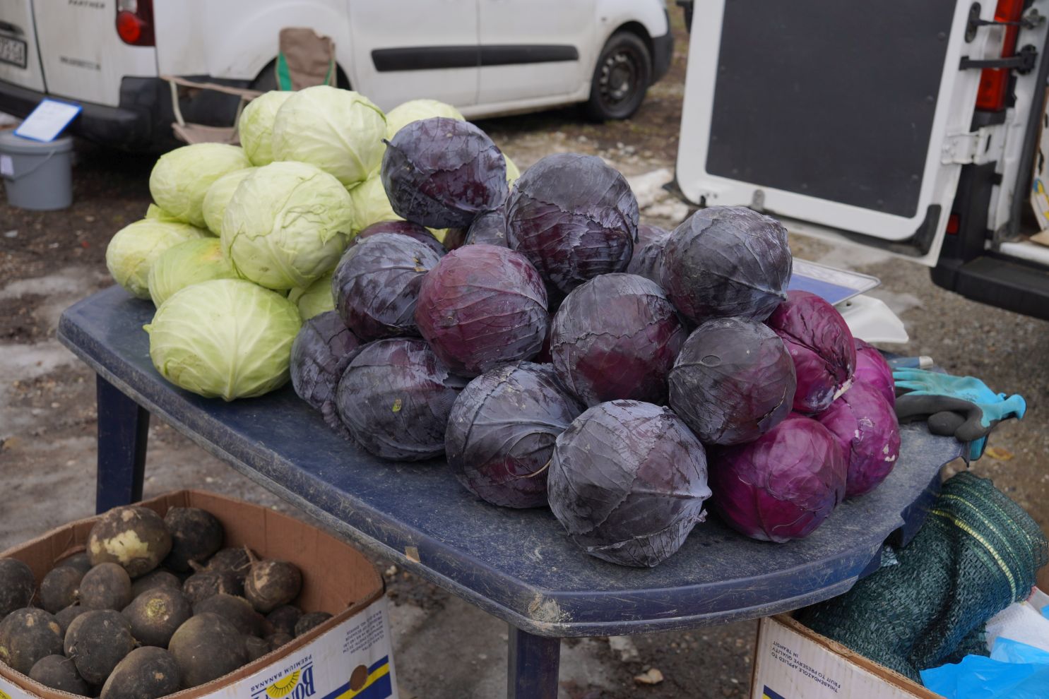 sajam srijedom 28.1.2026 (56)