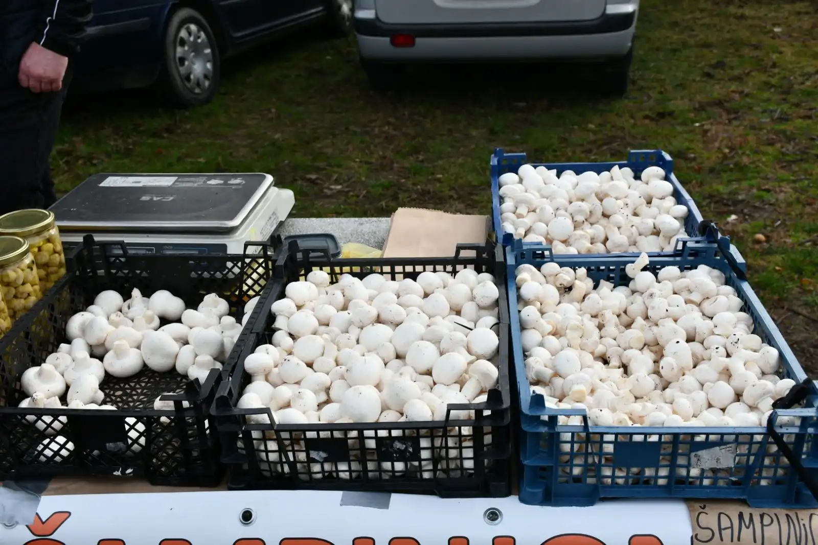 sajam srijedom, 28.2 (10) sajam srijedom, 28.2 (10)