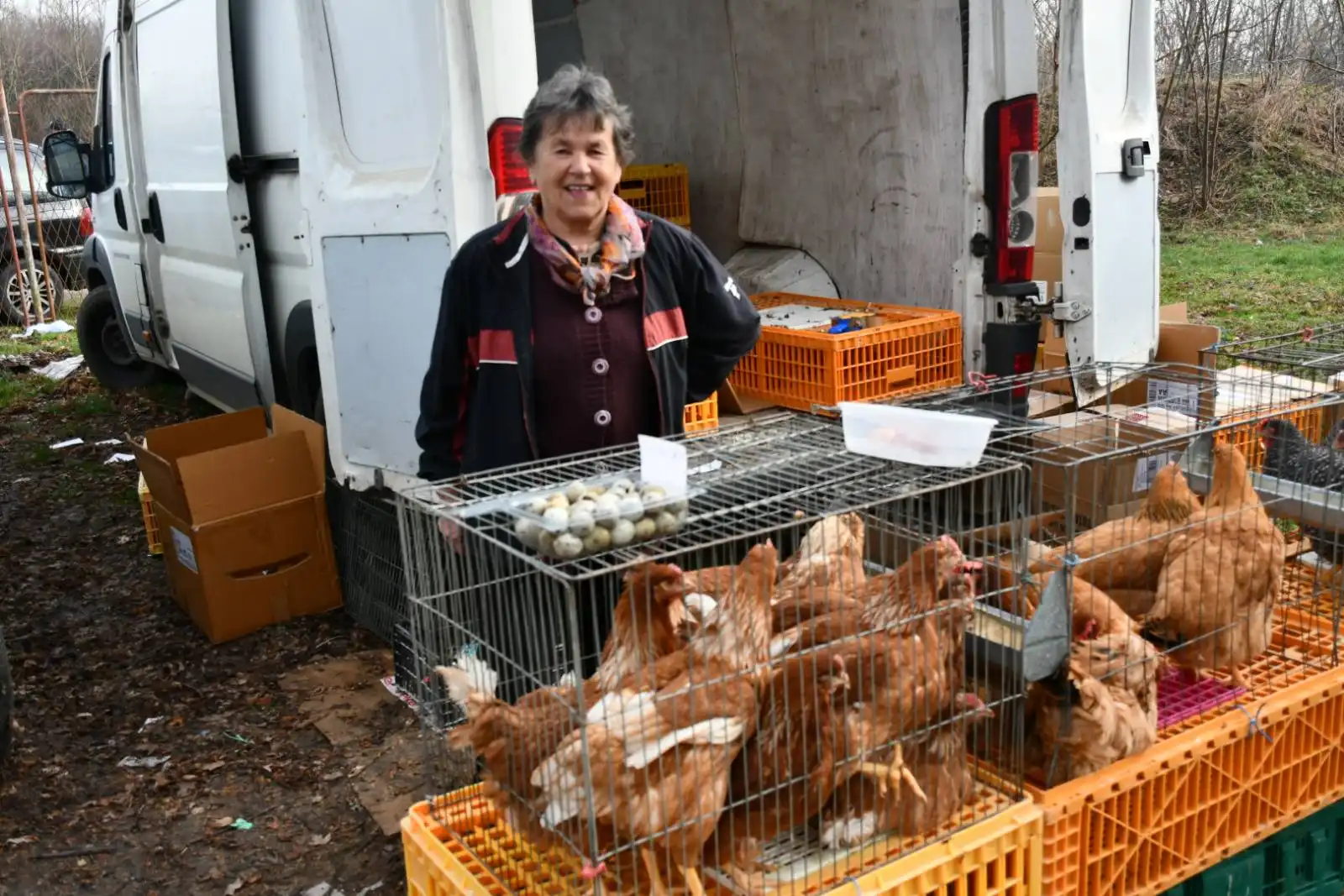 sajam srijedom, 28.2 (12) sajam srijedom, 28.2 (12)