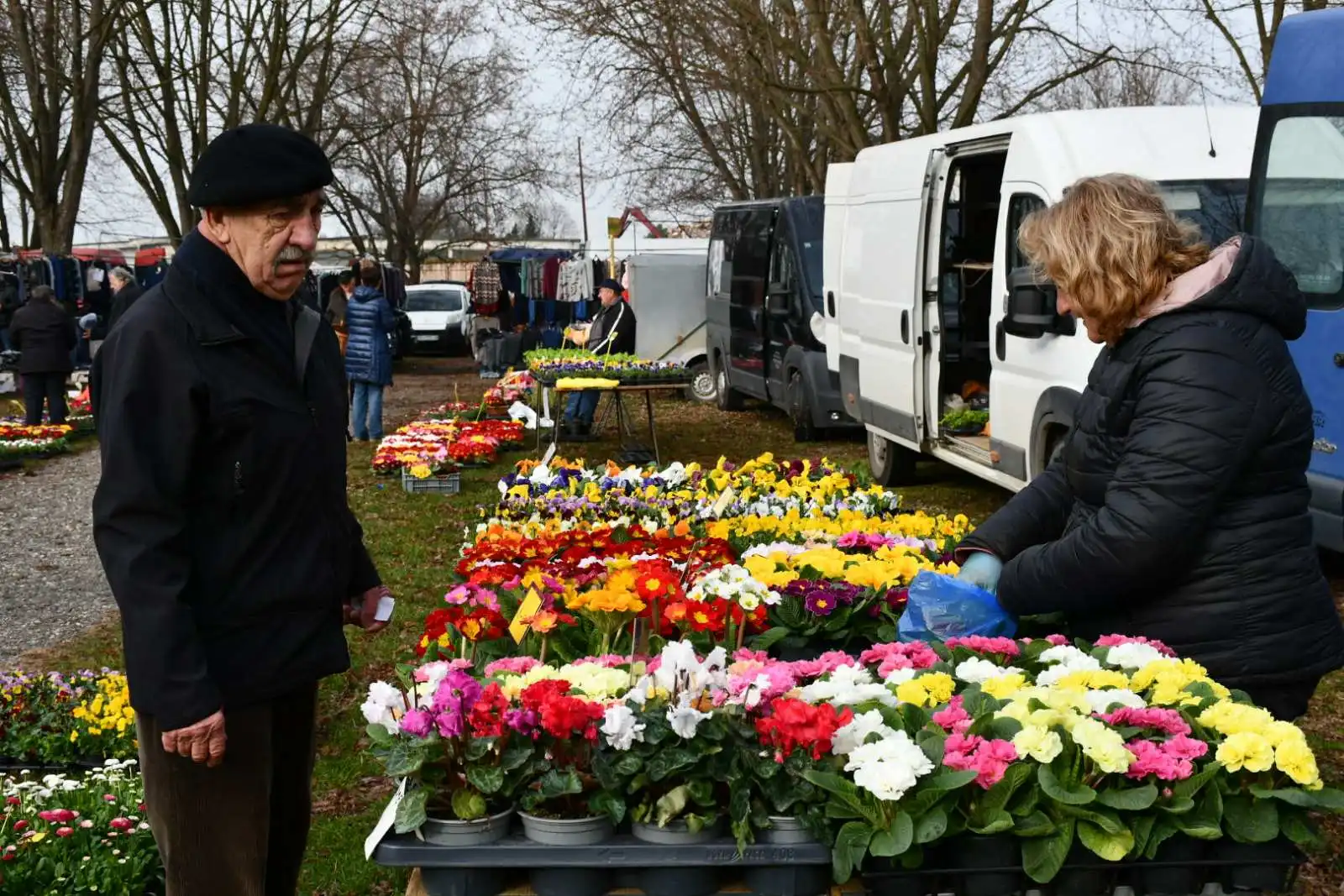 sajam srijedom, 28.2 (15) sajam srijedom, 28.2 (15)