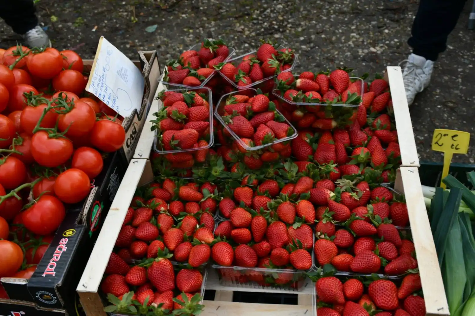 sajam srijedom, 28.2 (19) sajam srijedom, 28.2 (19)