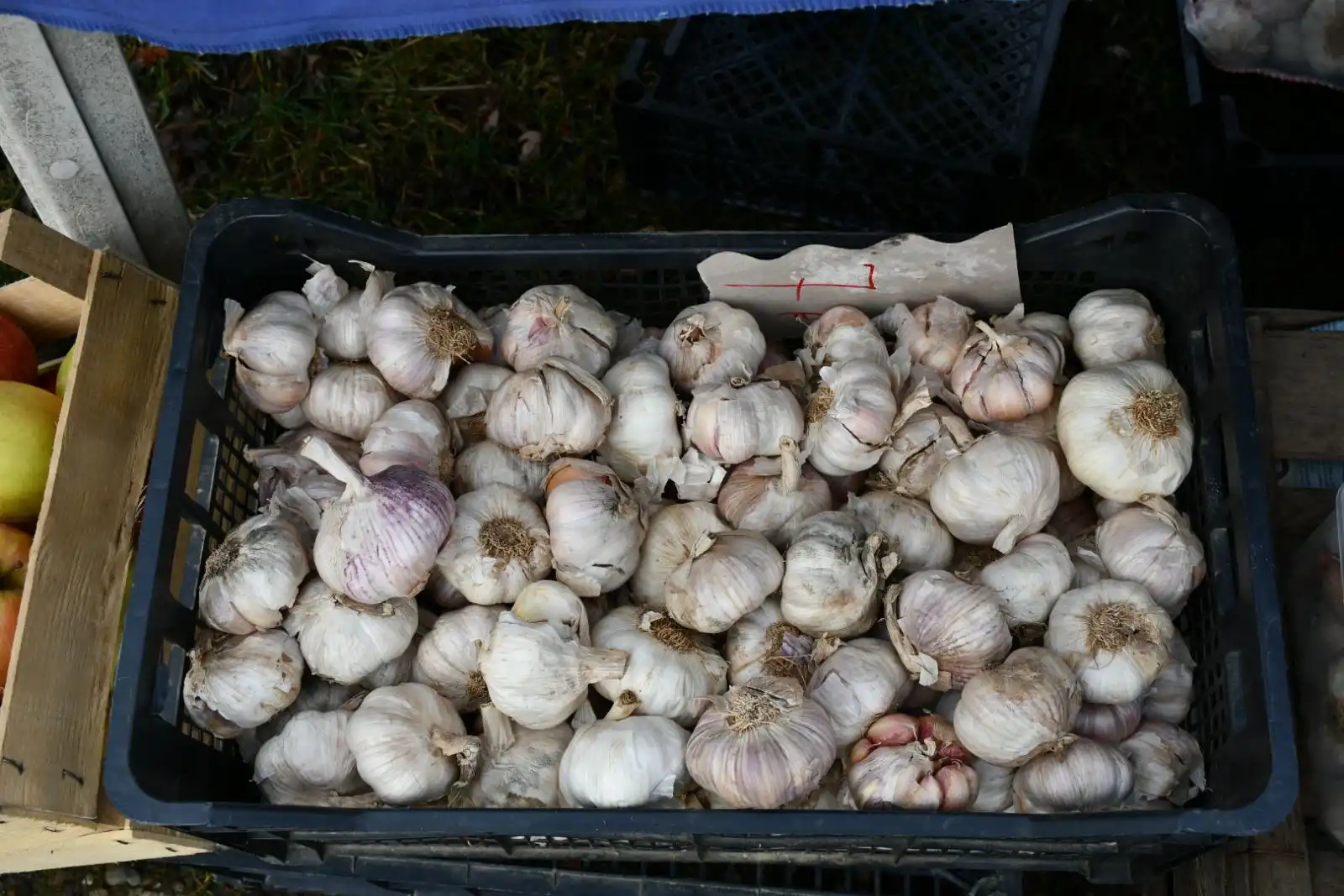 sajam srijedom, 28.2 (4) sajam srijedom, 28.2 (4)