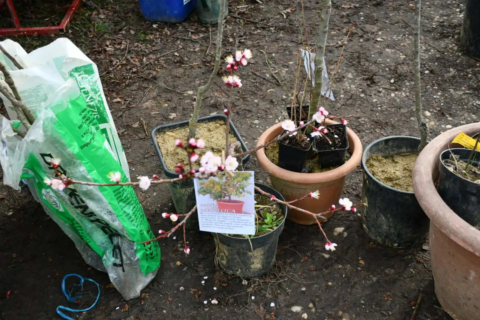 sajam srijedom, 28.2 (9) sajam srijedom, 28.2 (9)