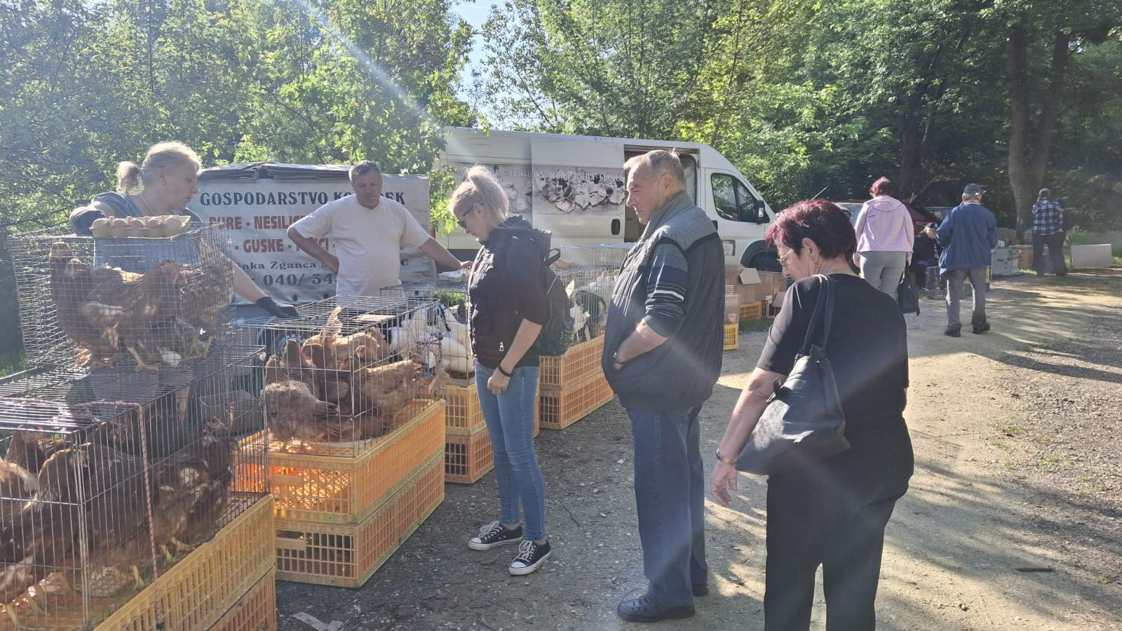 sajam srijedom 28052025 (12) sajam srijedom 28052025 (12)