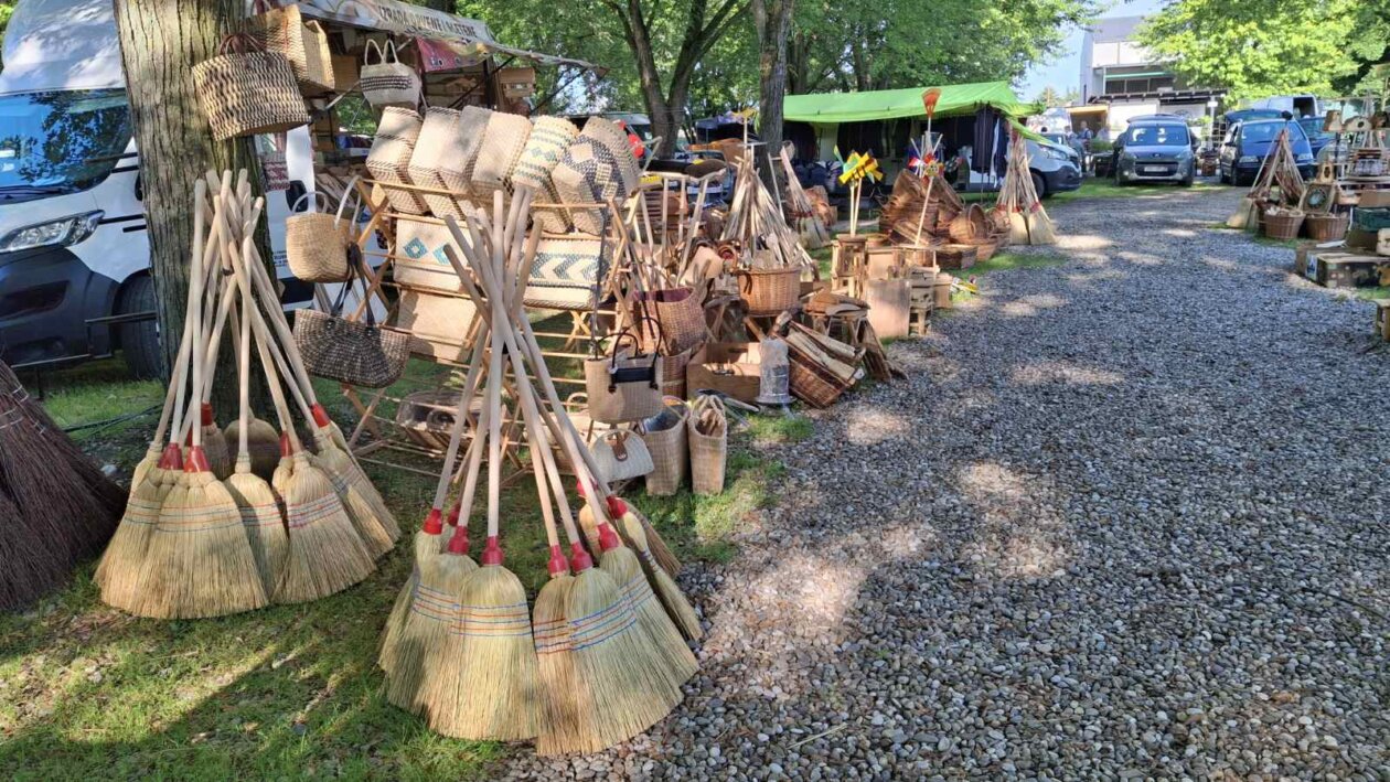 sajam srijedom 28052025 (20)