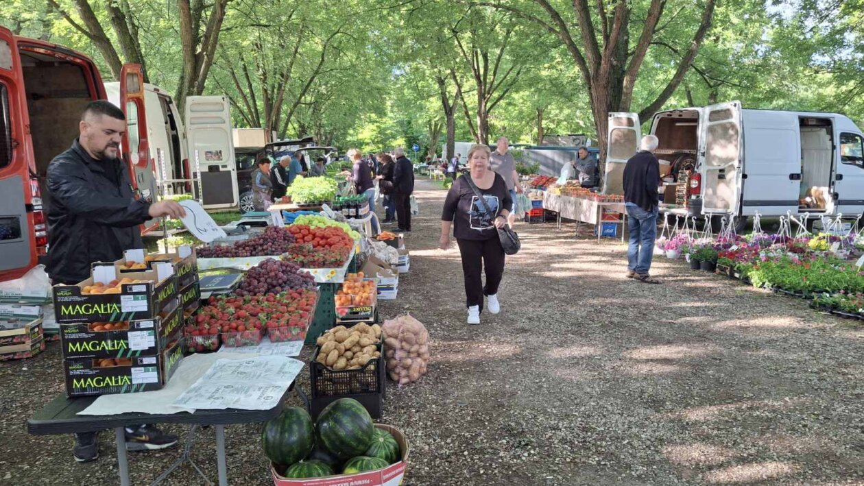 sajam srijedom 28052025 (26)