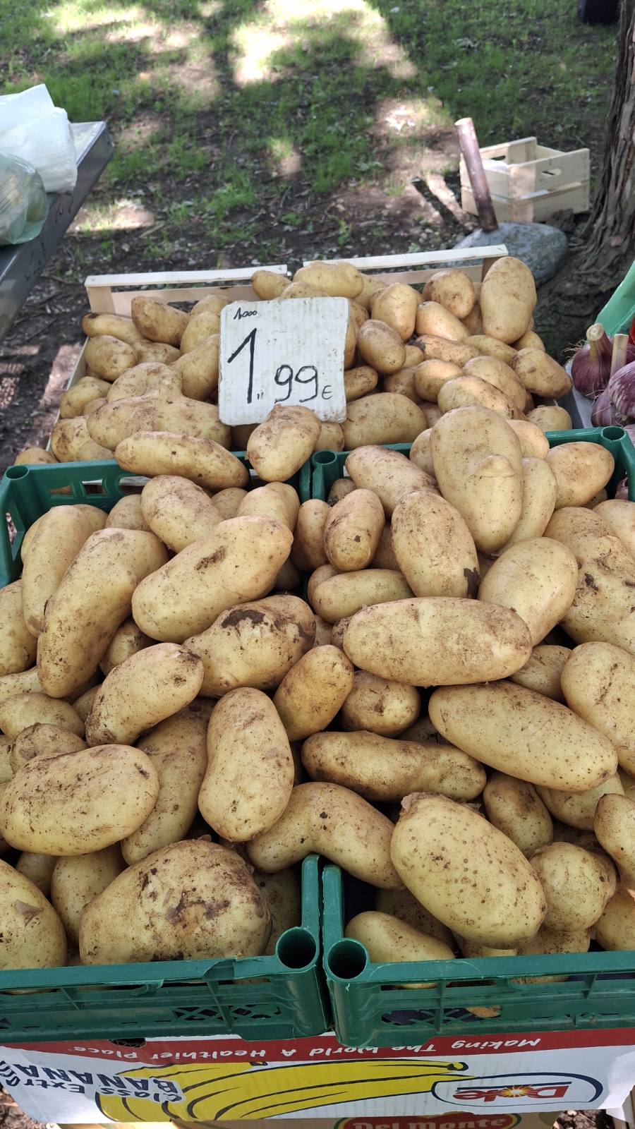 sajam srijedom 28052025 (28) sajam srijedom 28052025 (28)