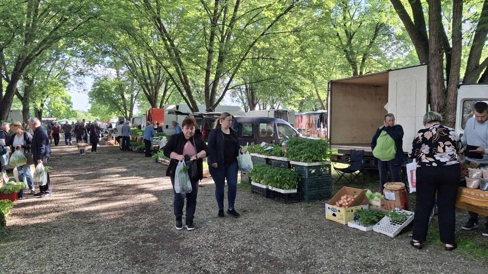 sajam srijedom 28052025 (33) sajam srijedom 28052025 (33)