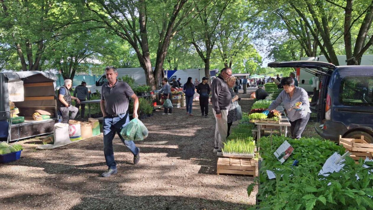 sajam srijedom 28052025 (36)