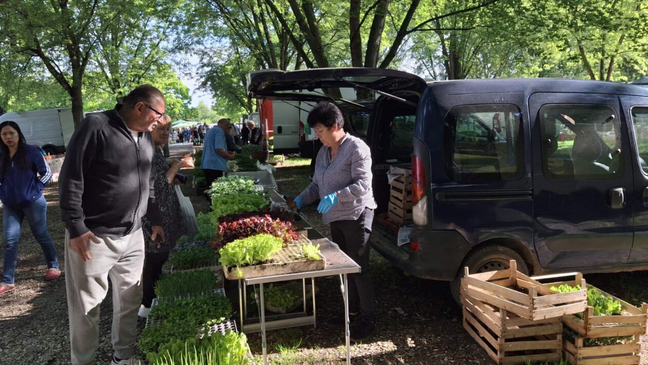 sajam srijedom 28052025 (37)