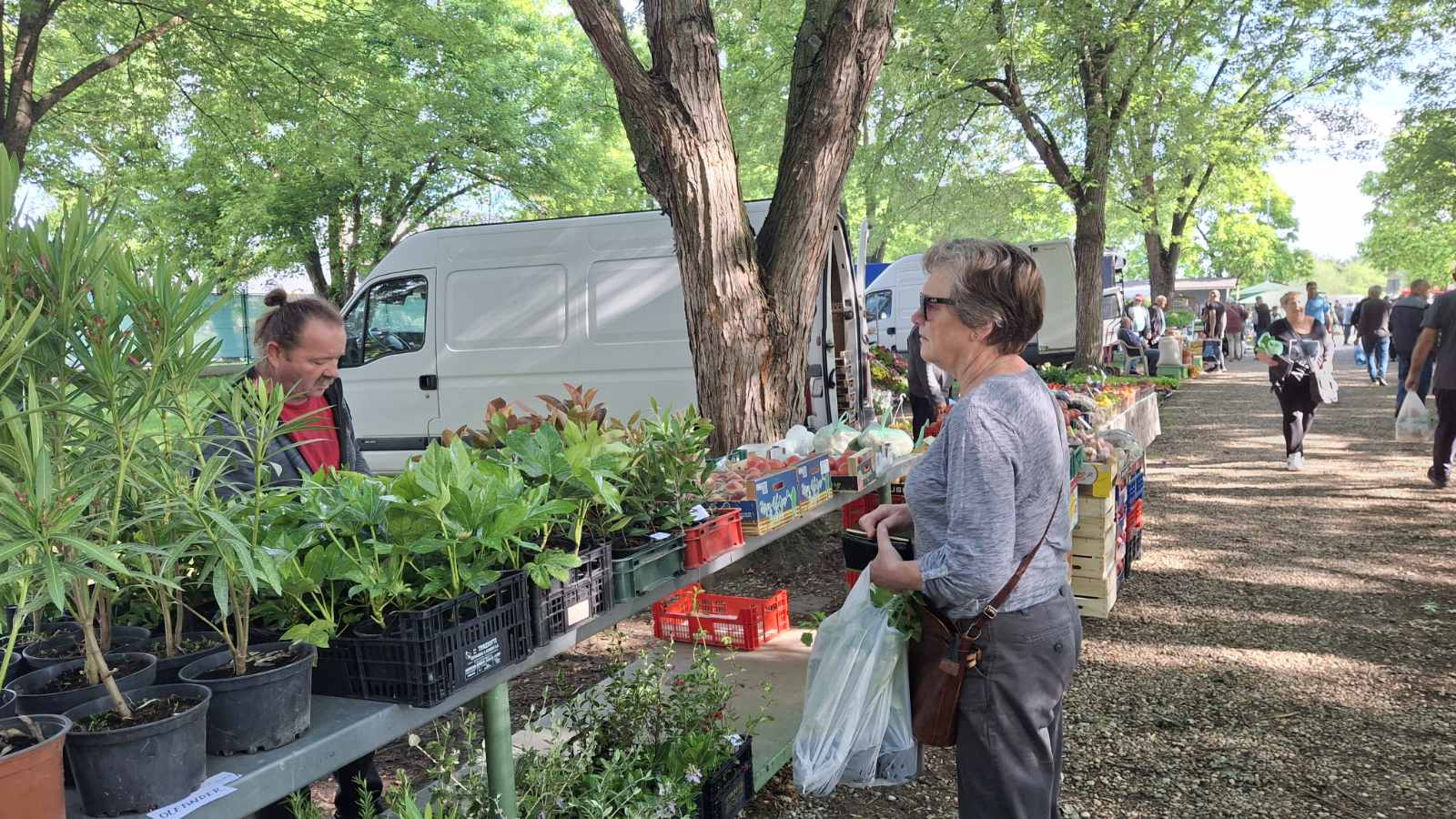 sajam srijedom 28052025 (38) sajam srijedom 28052025 (38)