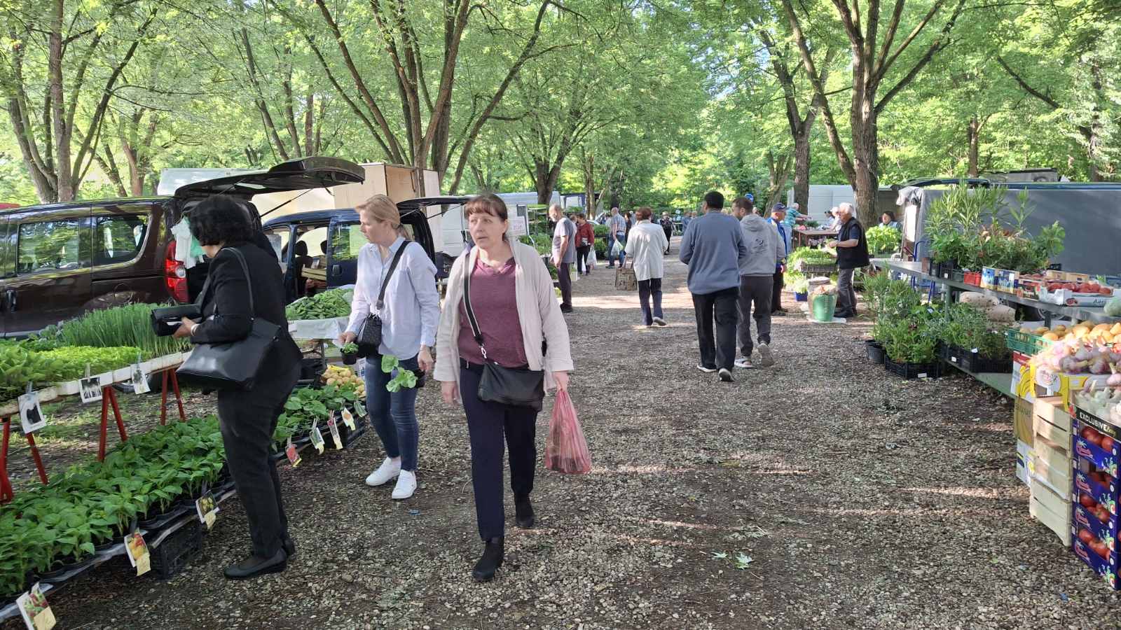 sajam srijedom 28052025 (4) sajam srijedom 28052025 (4)