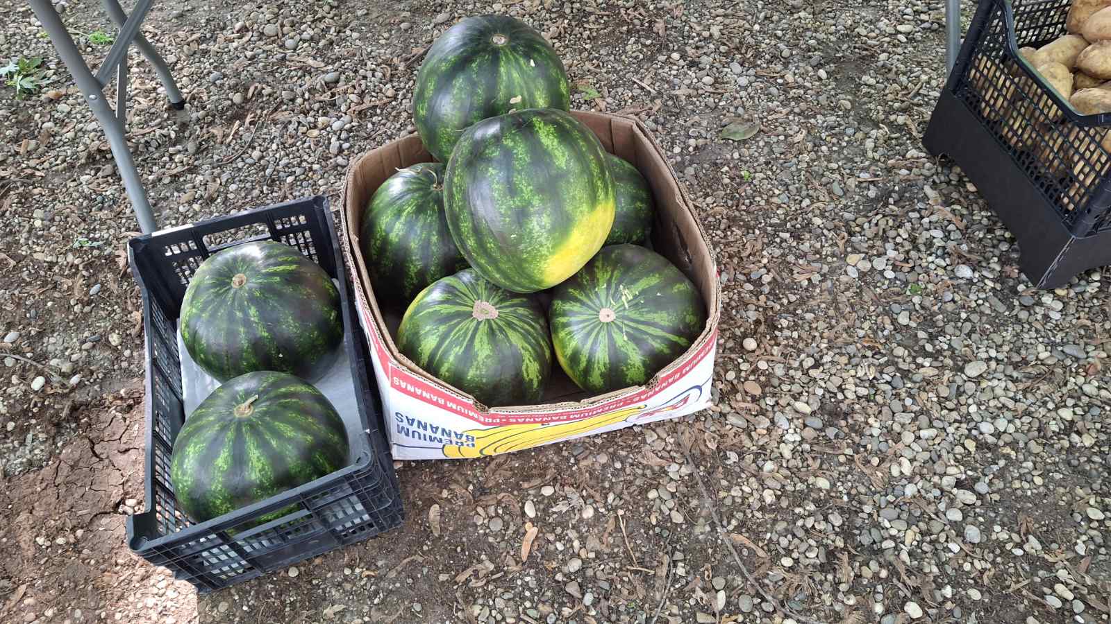 sajam srijedom 28052025 (41) sajam srijedom 28052025 (41)