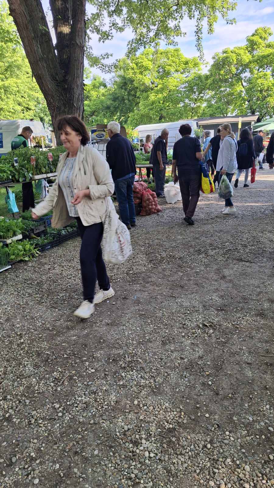 sajam srijedom 28052025 (42) sajam srijedom 28052025 (42)