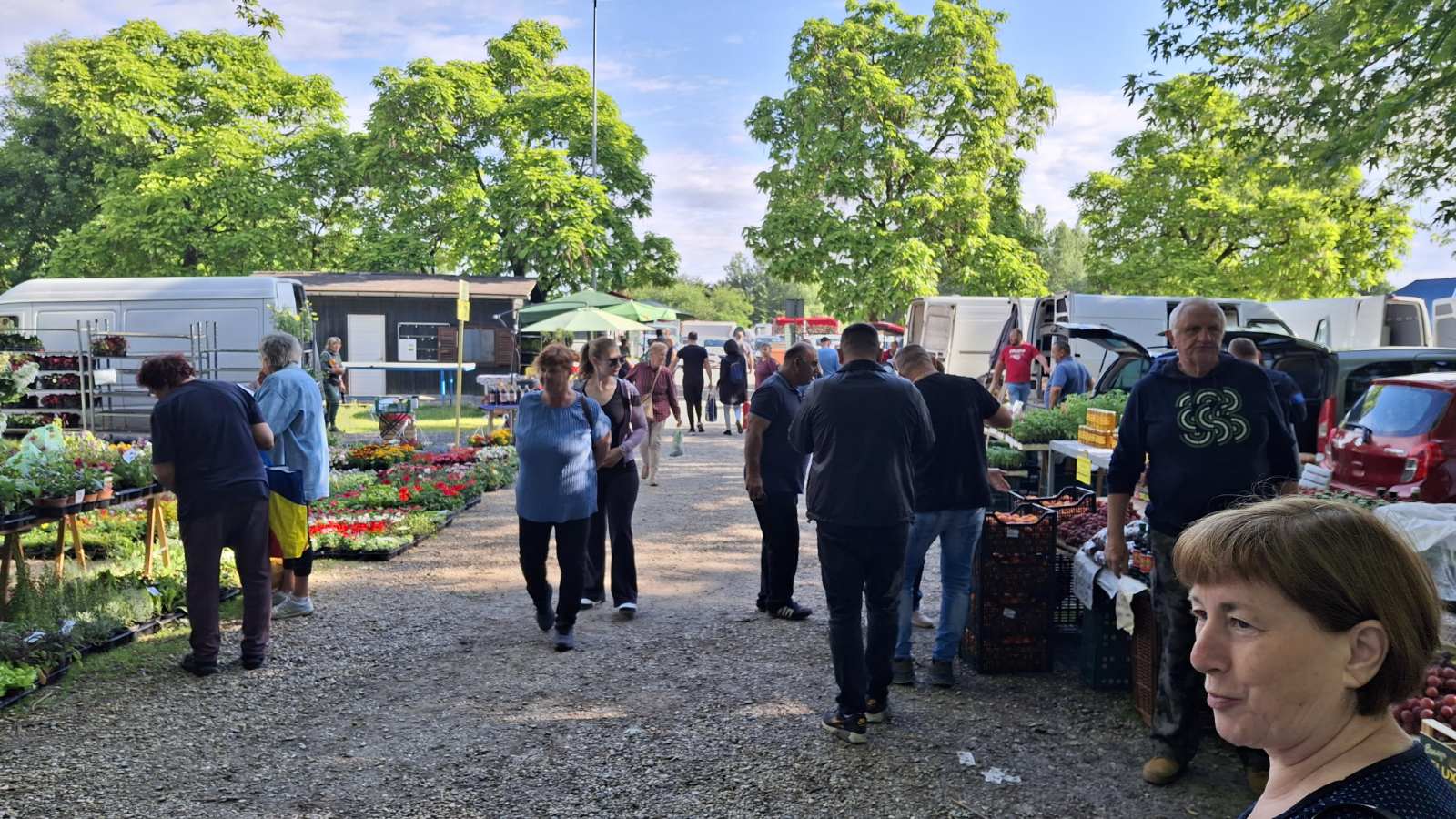 sajam srijedom 28052025 (43) sajam srijedom 28052025 (43)