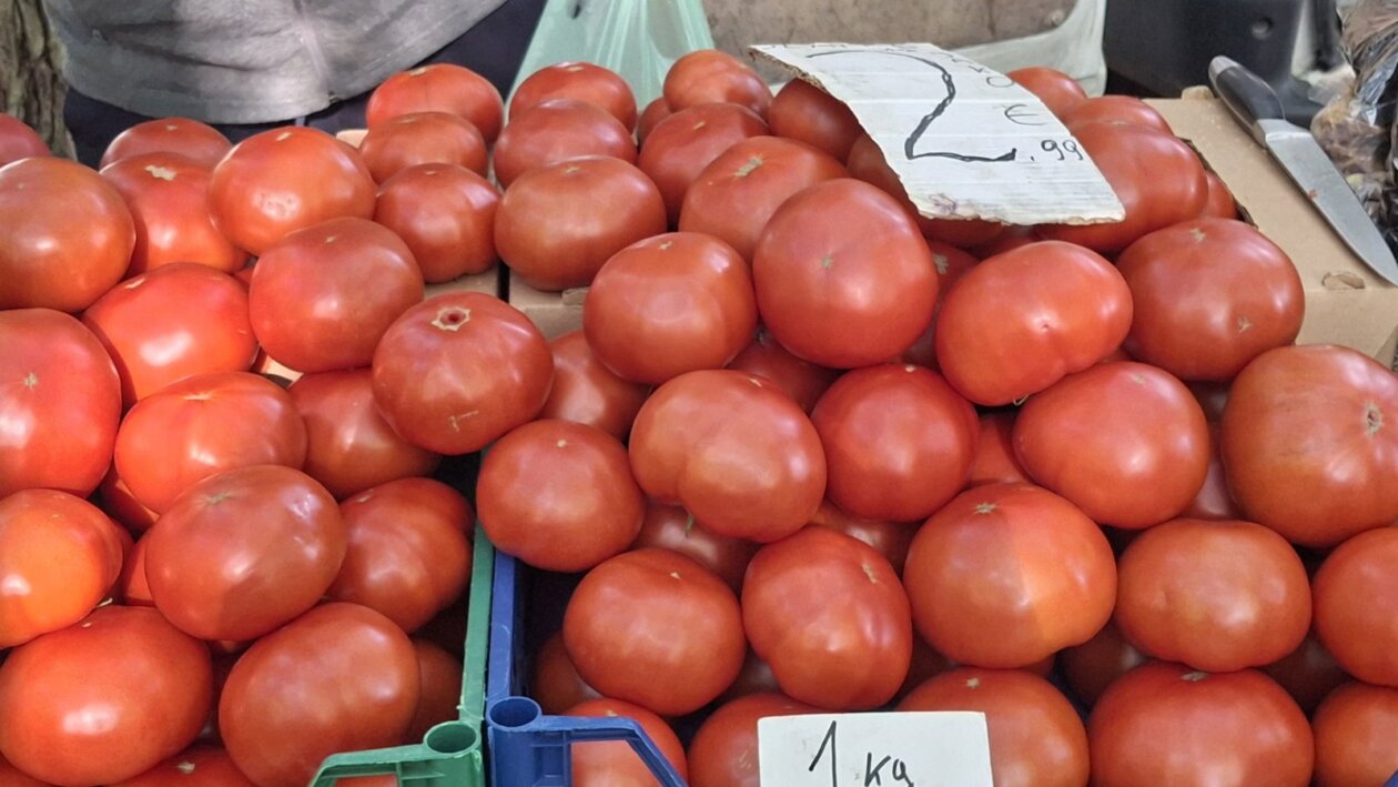 sajam srijedom 28052025 (51)