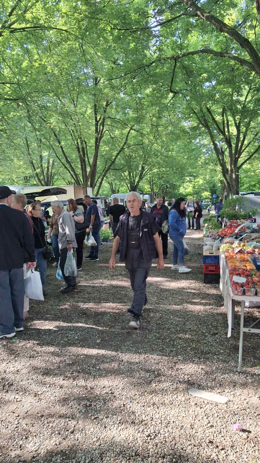 sajam srijedom 28052025 (53) sajam srijedom 28052025 (53)