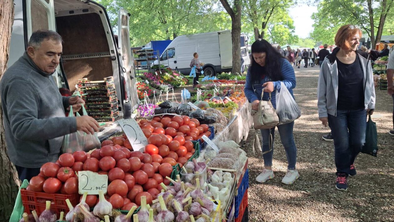 sajam srijedom 28052025 (54)