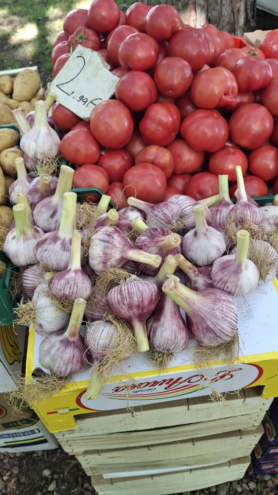 sajam srijedom 28052025 (55) sajam srijedom 28052025 (55)