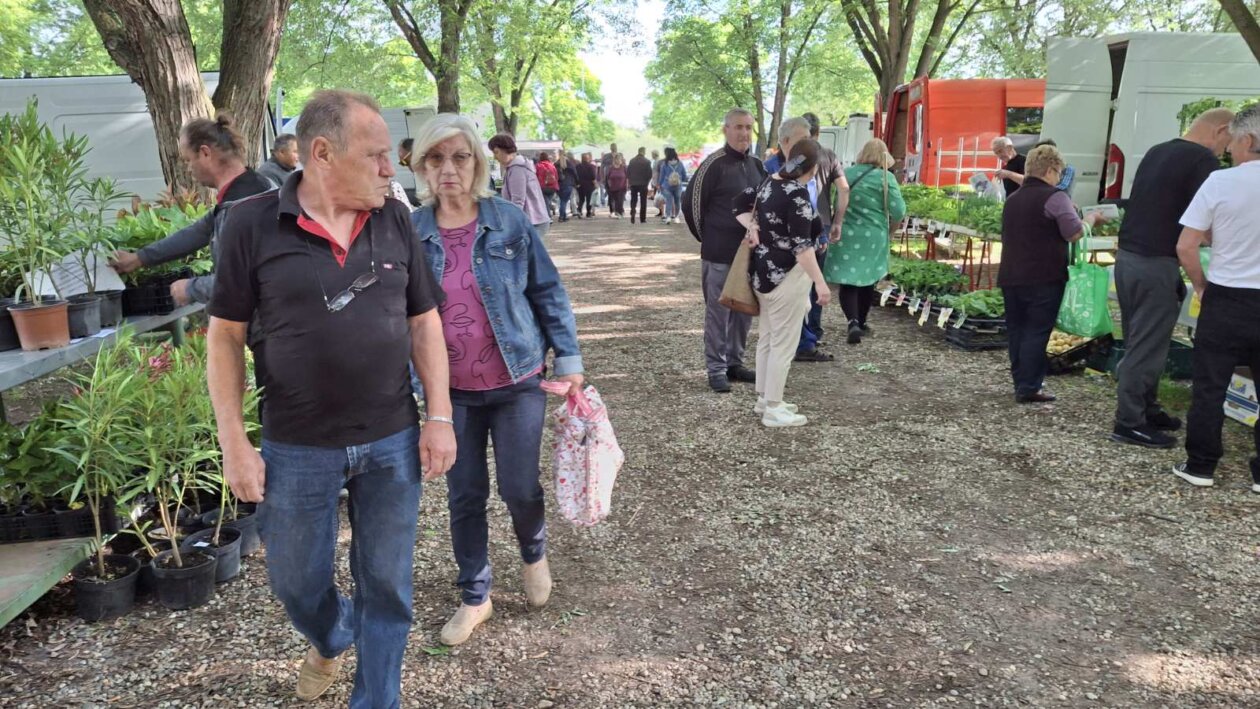 sajam srijedom 28052025 (57)