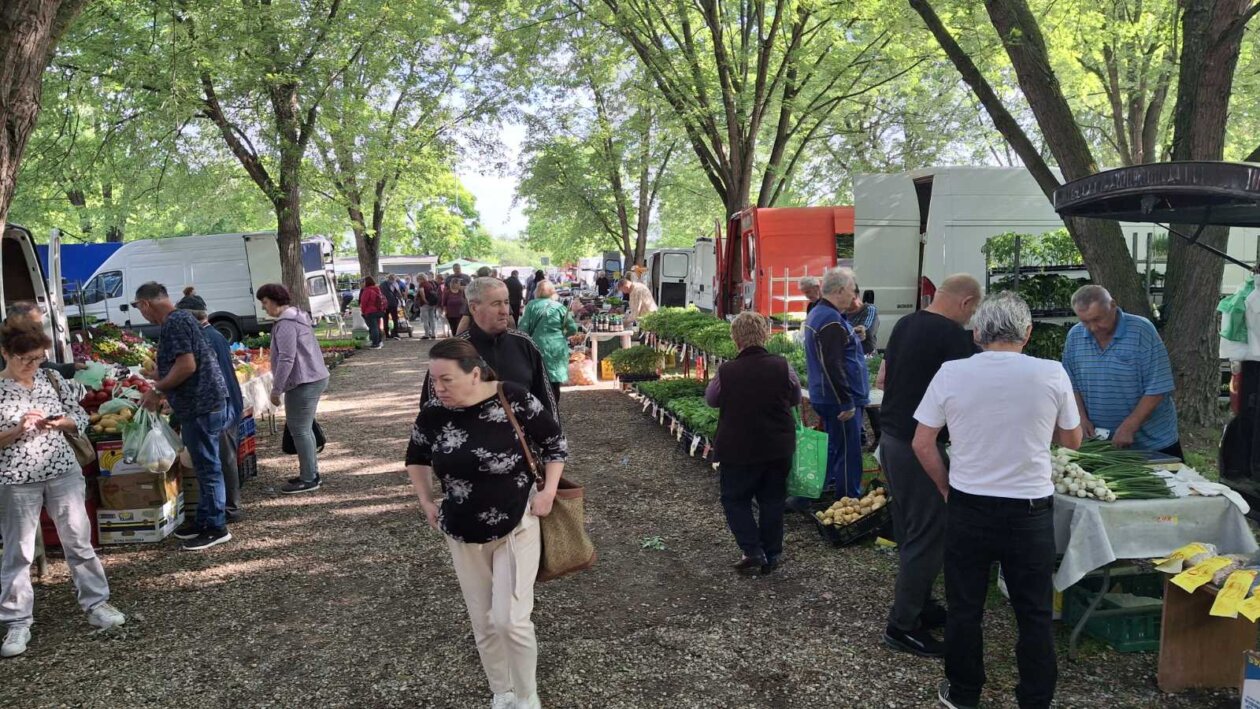 sajam srijedom 28052025 (58)