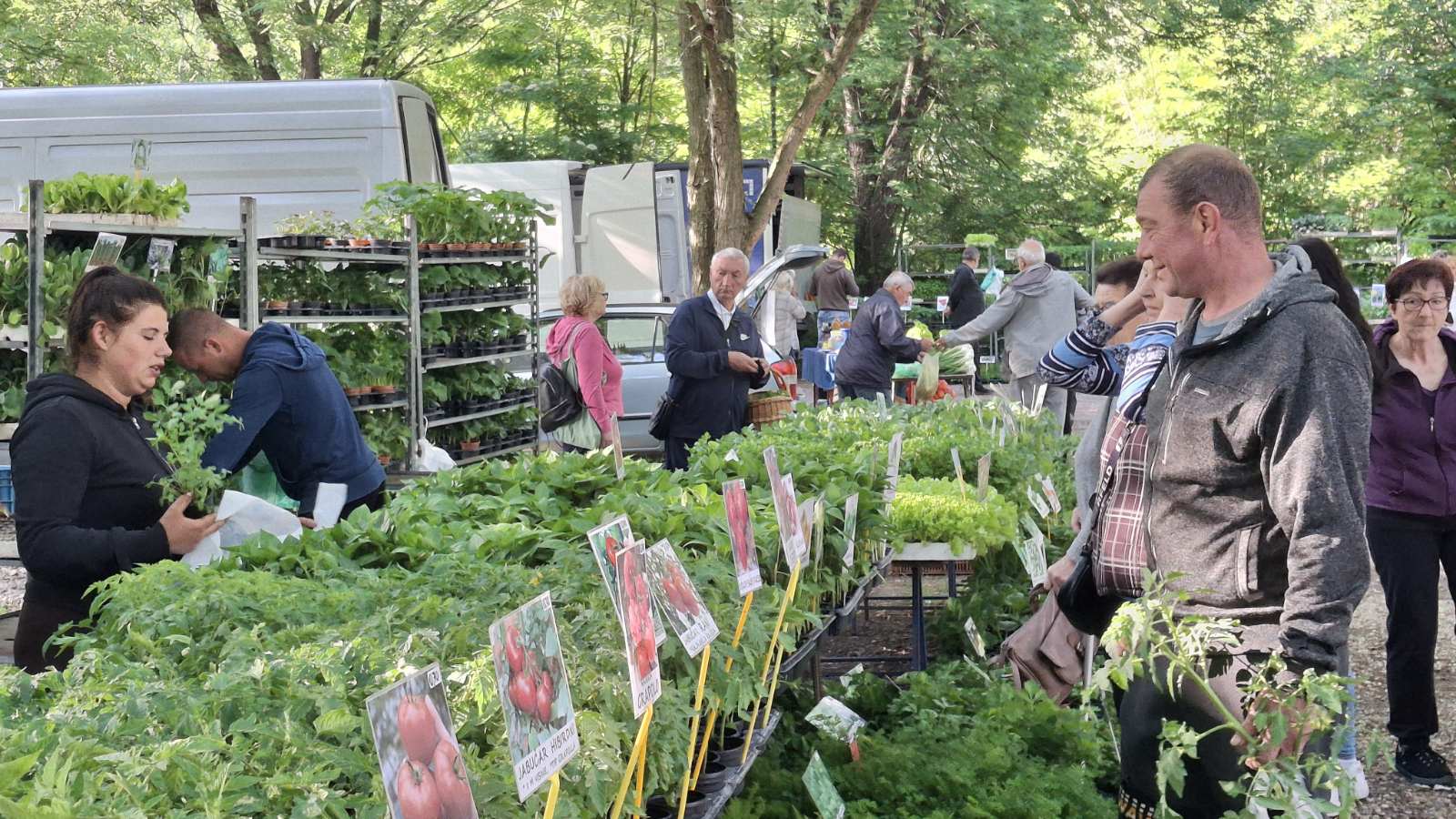 sajam srijedom 28052025 (6) sajam srijedom 28052025 (6)