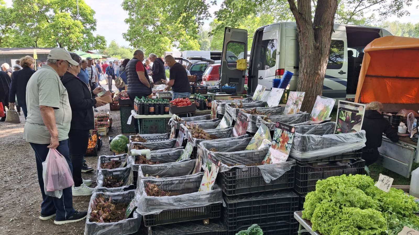 sajam srijedom 28052025 (60) sajam srijedom 28052025 (60)